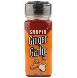 Snapin Ginger Garlic Mix   Bottle  50 grams